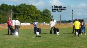 Beau temps dans la Creuse pour cette Nationale d'Elevage.